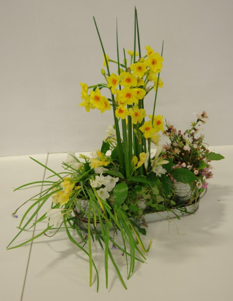/wp-content/uploads/2016/09/1Intermediate-SpringGarden.jpg