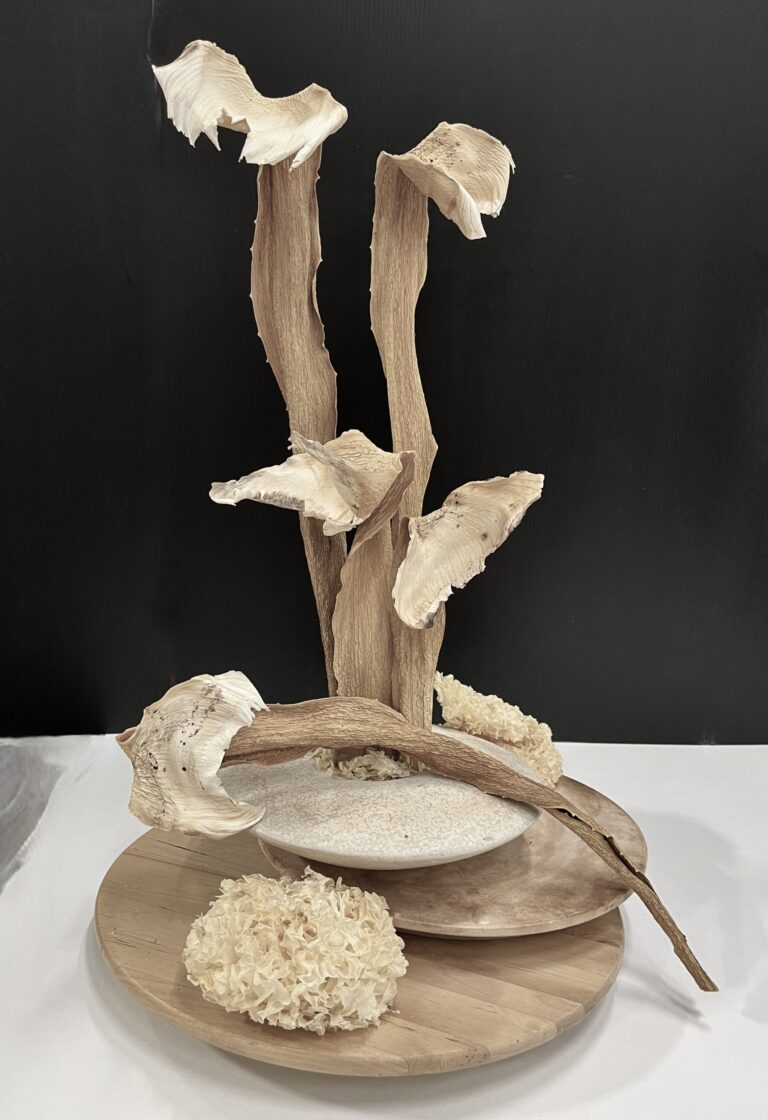 West Australian Floral Art Society Inc.